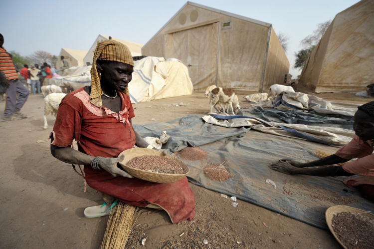 After sweeping up sorghum seeds spilled on the ground during the distribution of emergency food supplies by the United Nations World Food Program, a woman in Agok, South Sudan, a town in the contested Abyei region. 